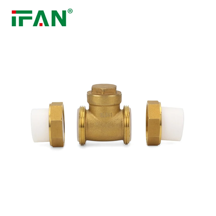 PPR Check Valve: Verndar gegn þrýstingssveiflum